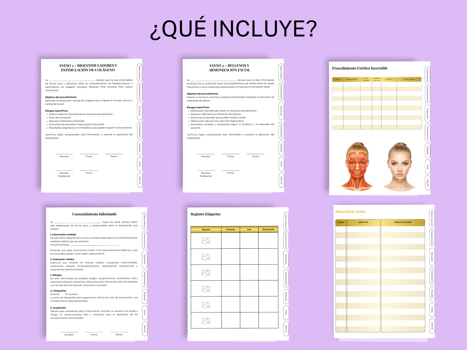 Plantilla editable CANVA - Ficha de Botox y filler - Imagen 2