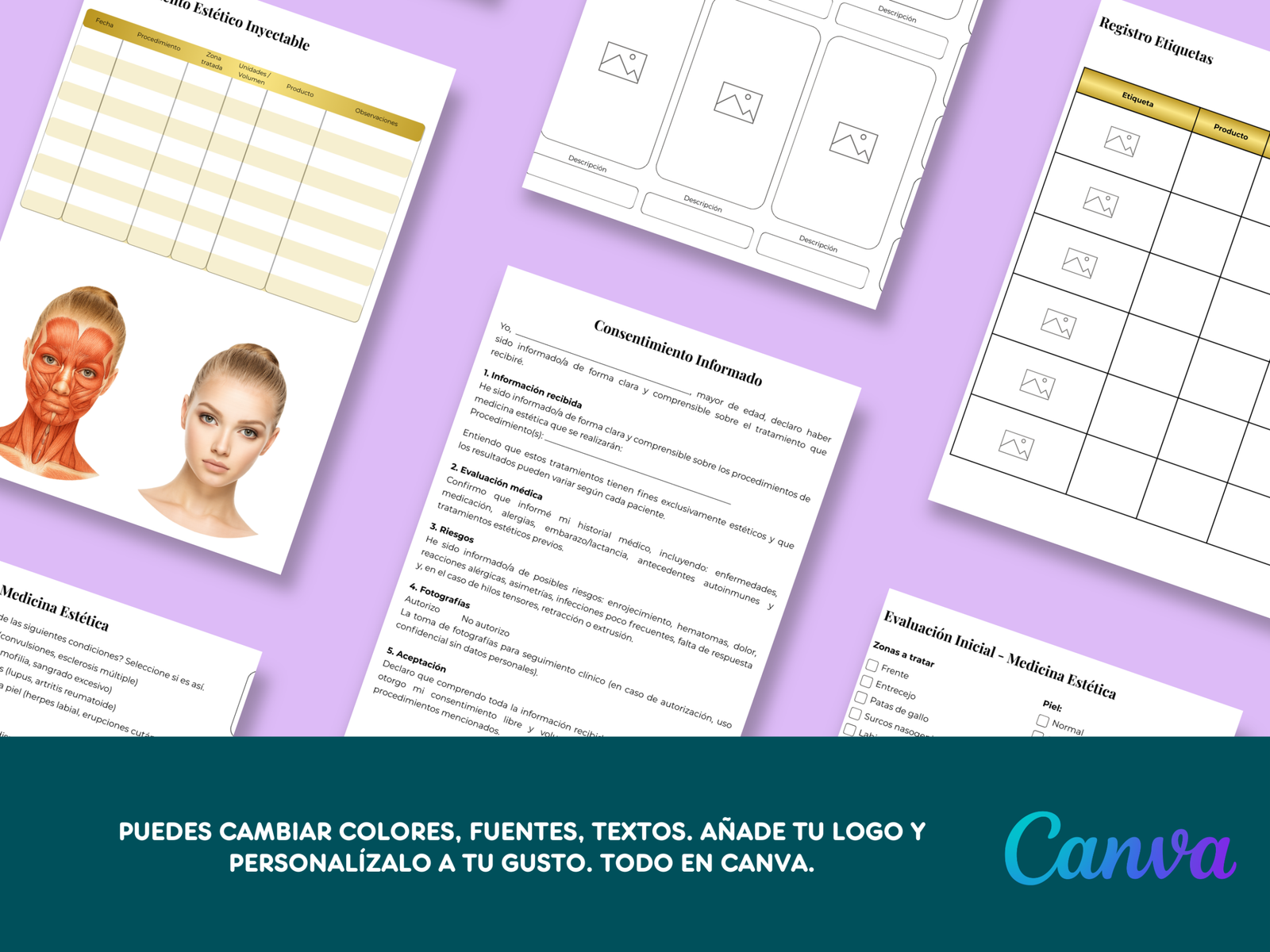 Plantilla editable CANVA - Ficha de Botox y filler - Imagen 3